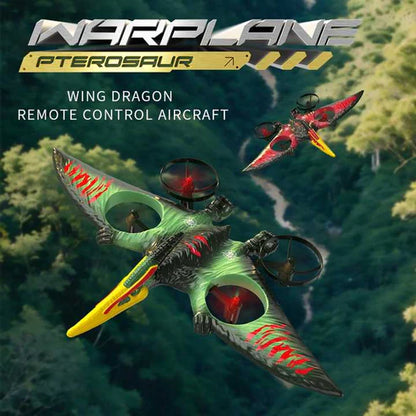 RC WarPlane Toy for Kids – Rechargeable & Easy to Fly (Age 6+)
